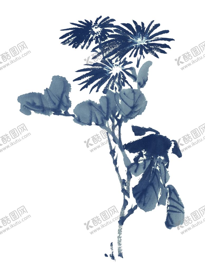 编号：19363606241702089465【酷图网】源文件下载-菊花装饰