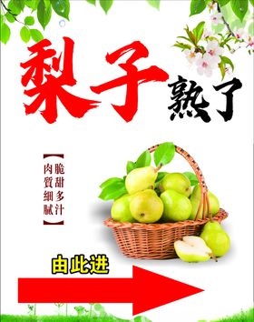 梨子熟了