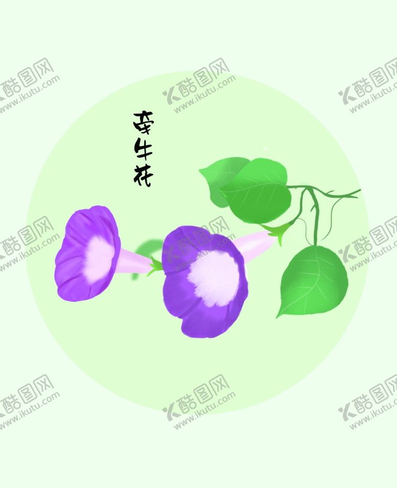 编号：73158704251716054638【酷图网】源文件下载-牵牛花