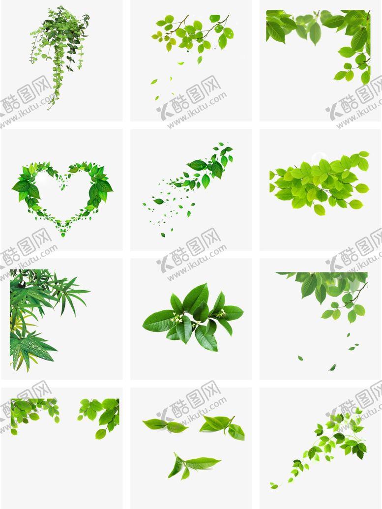 编号：24279309121654441335【酷图网】源文件下载-叶子