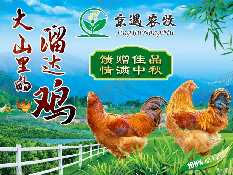 编号：55098904202343029880【酷图网】源文件下载-土鸡包装