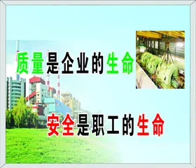 质量安全