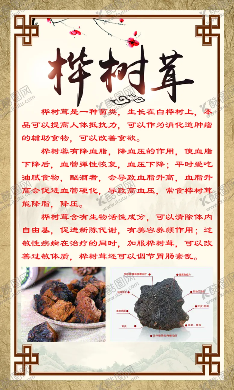 编号：75769210301327123088【酷图网】源文件下载-桦树茸