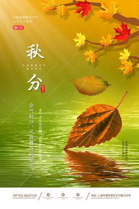 秋分