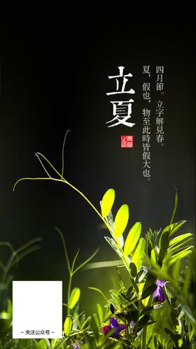 节气海报
