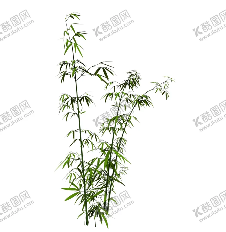 编号：56877606251902239700【酷图网】源文件下载-水墨竹子