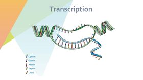 细胞生物学和组织学