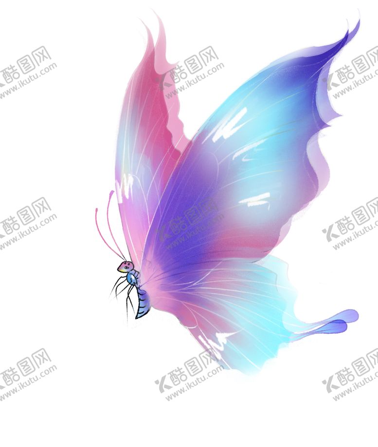 编号：83008802111038115040【酷图网】源文件下载-动物蝴蝶