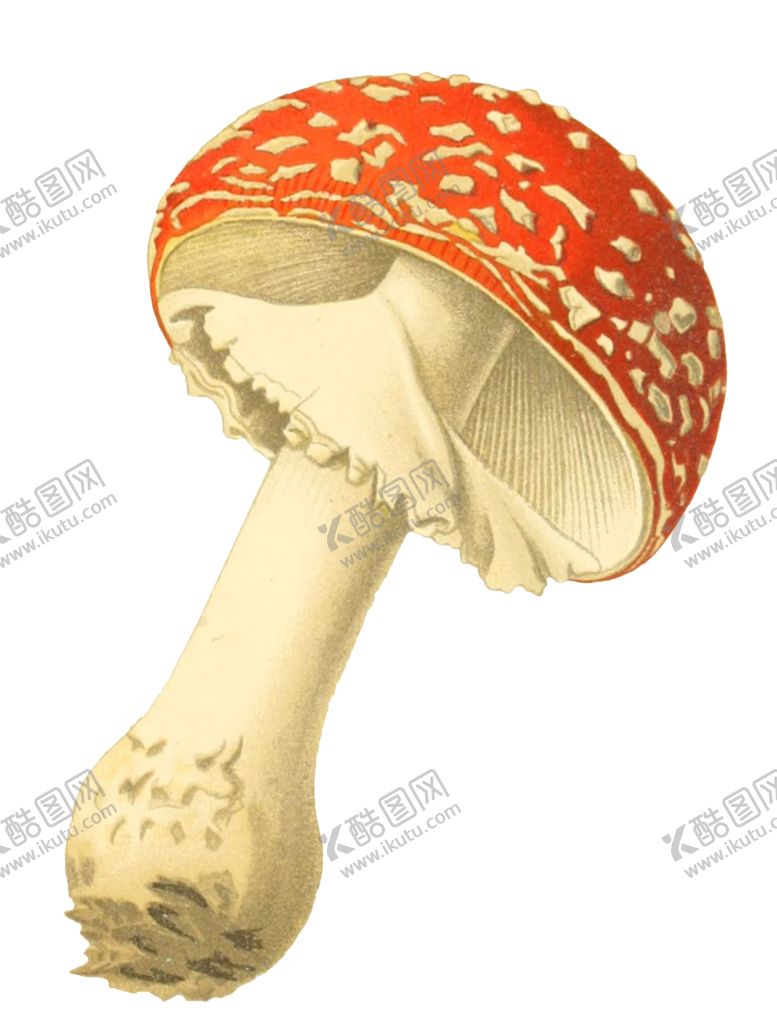 编号：89598401150613398573【酷图网】源文件下载-复古插画