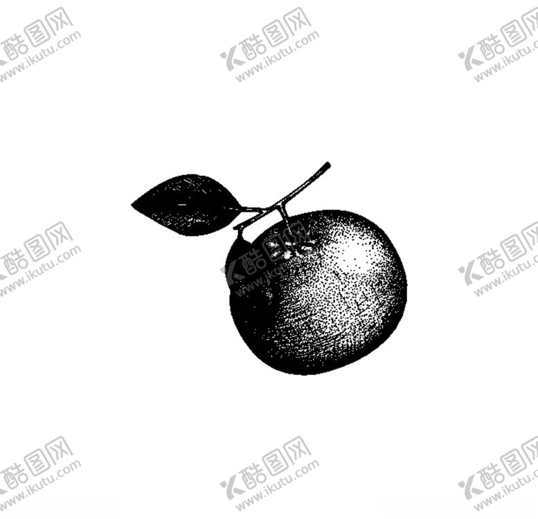 编号：89244404181904024163【酷图网】源文件下载-水果