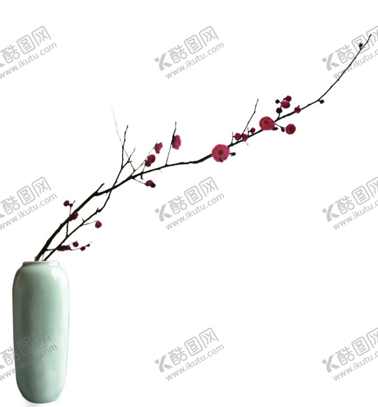 编号：79002109141018487634【酷图网】源文件下载-梅花