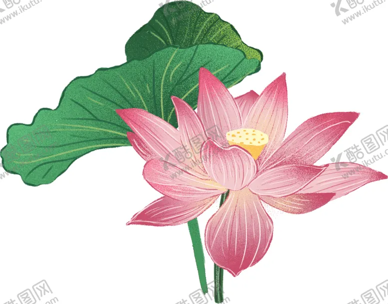 编号：36367502130441321270【酷图网】源文件下载-手绘漂亮的荷花荷叶插画元素图片