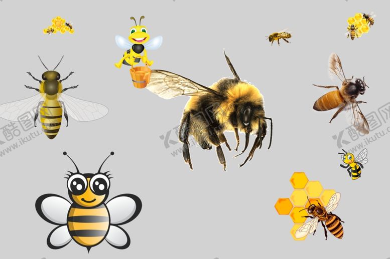 编号：38310310291909444389【酷图网】源文件下载-蜜蜂