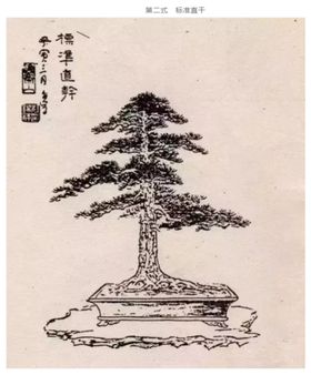 盆景造型二式