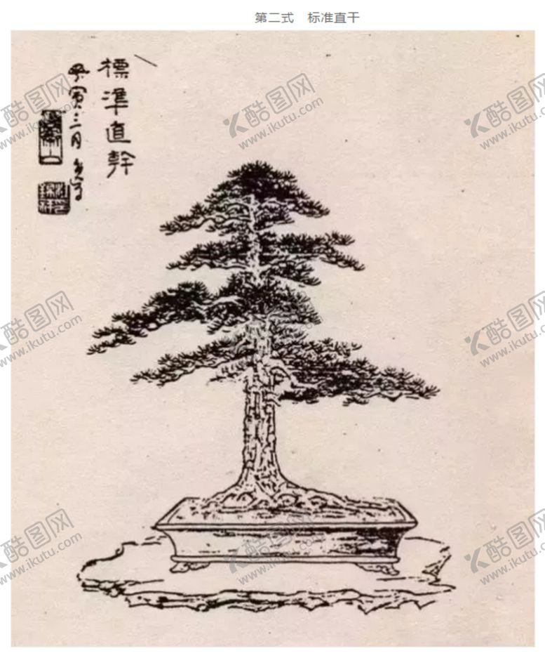 编号：47455405091320105407【酷图网】源文件下载-盆景造型二式