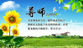 菊花绿色环保蓝天白云草地尊师