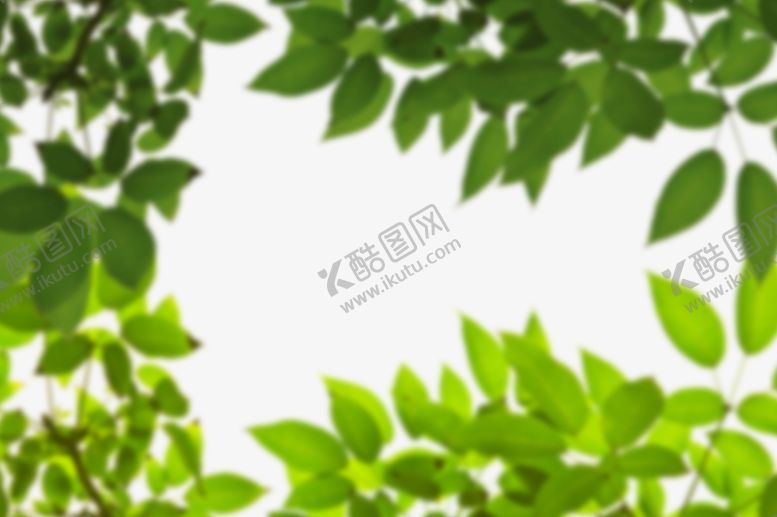 编号：49683709221638133412【酷图网】源文件下载-绿色树枝叶子透明背景合成素材