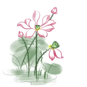 手绘荷花夏天背景素材夏季海报夏日海滩