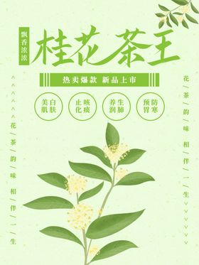 桂花茶