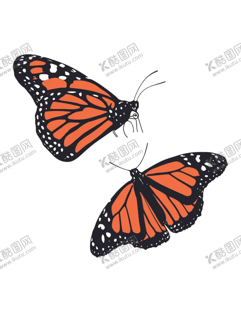 编号：57265012131720147974【酷图网】源文件下载-蝴蝶卡通矢量素材插画