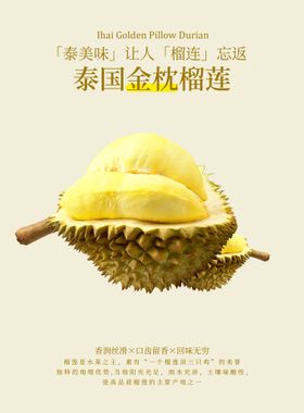 创意榴莲广告宣传海报