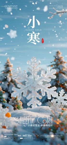 酒吧夜店ktv小寒节气海报