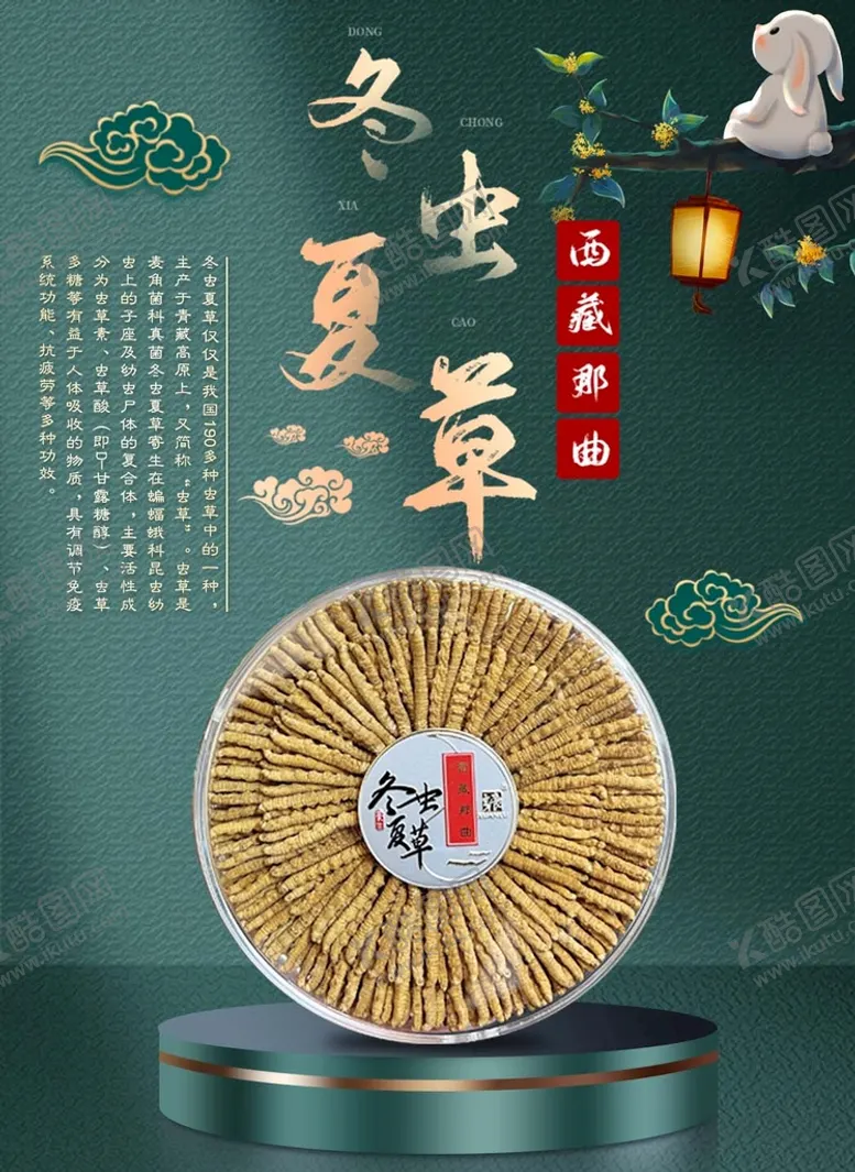 编号：31208909221952063765【酷图网】源文件下载-冬虫夏草海报
