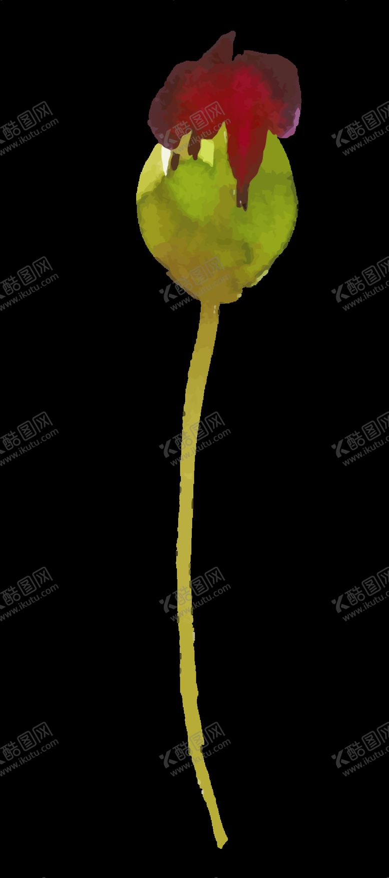 编号：76616810252355229065【酷图网】源文件下载-水彩花朵装饰图案