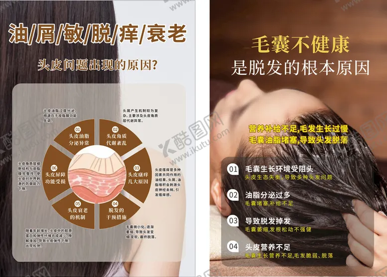 编号：97183304142223073517【酷图网】源文件下载-防脱发养发产品介绍