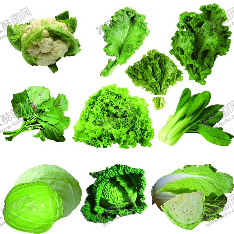 编号：32418509261845446716【酷图网】源文件下载-青菜素材花菜