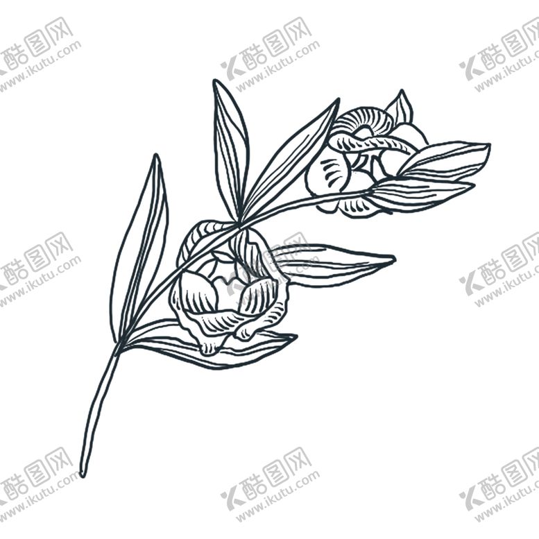 编号：41311810061951369004【酷图网】源文件下载-花叶素材