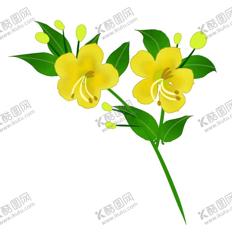 编号：97636407050939039718【酷图网】源文件下载-草本植物药材