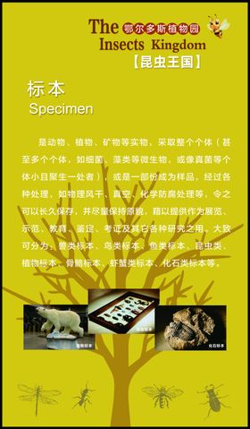 中药标本