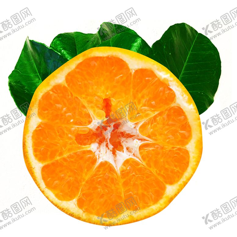 编号：57069709230917379777【酷图网】源文件下载-水果