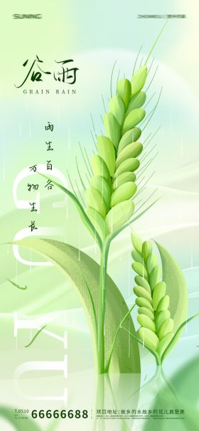 谷雨节气海报