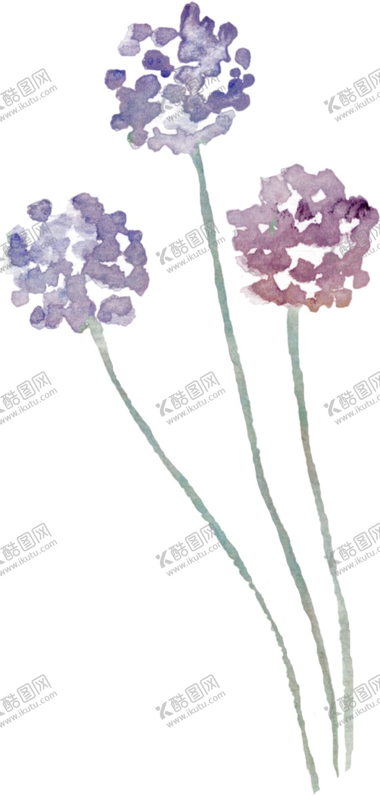 编号：49879009260435254663【酷图网】源文件下载-彩绘花朵