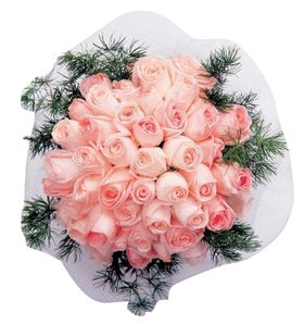 彩绘玫瑰花装饰矢量素材