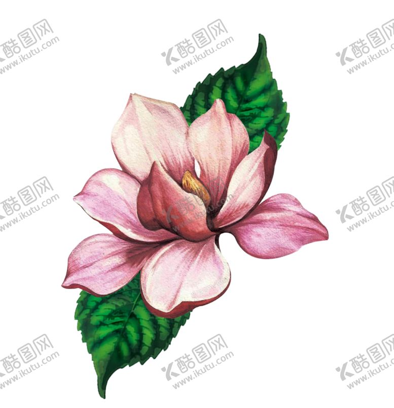 编号：21998009161828228119【酷图网】源文件下载-手绘花