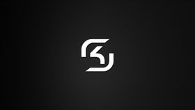 LOGO  标志   SK