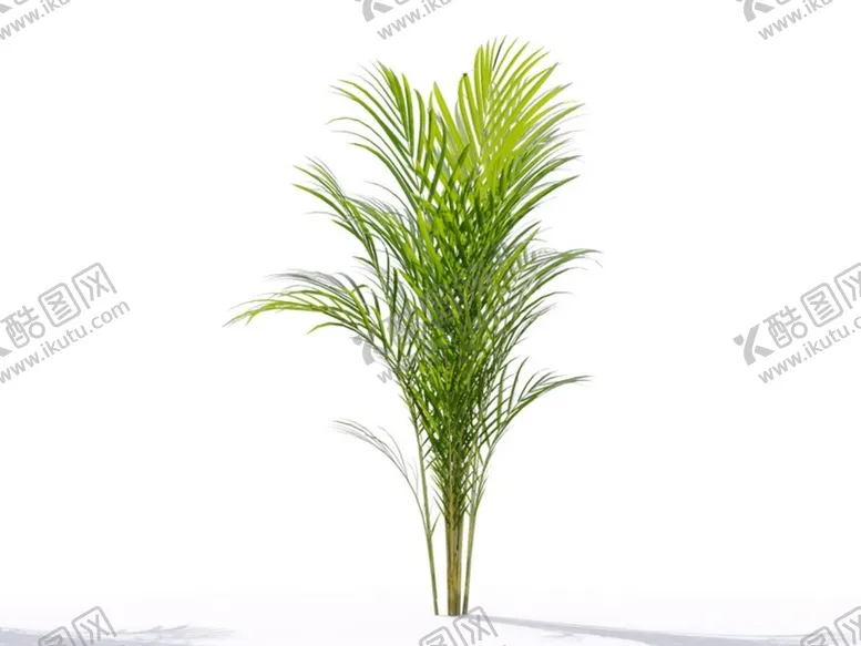 编号：80370102150019013673【酷图网】源文件下载-C4D模型 植物树木黄芪草