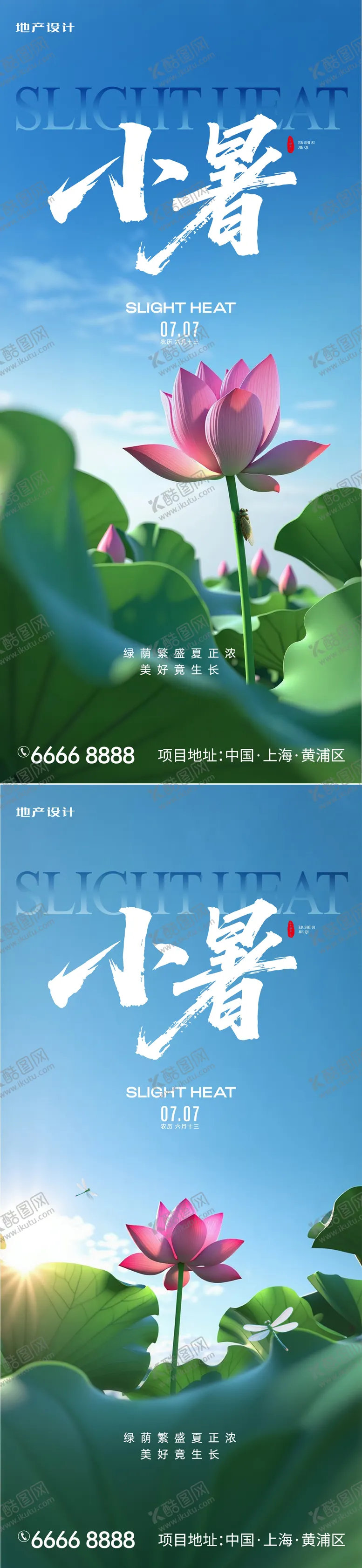 小暑二十四节气系列荷花