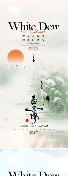 白露节气海报