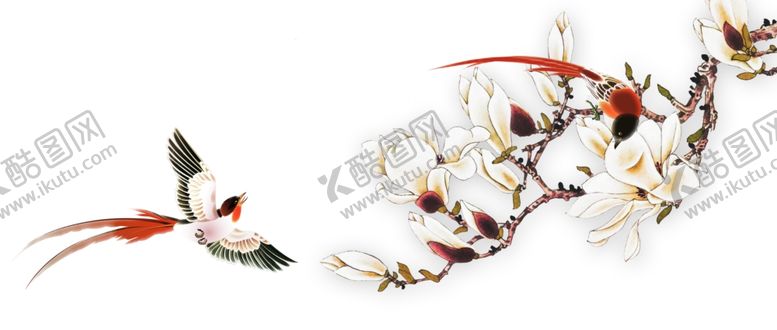 编号：30516010121438323997【酷图网】源文件下载-花鸟