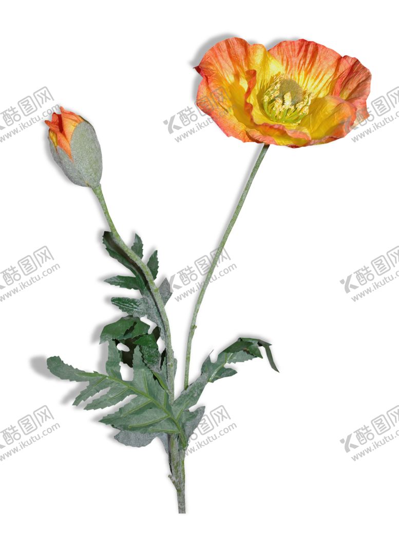 编号：44179007051315365089【酷图网】源文件下载-鲜花素材