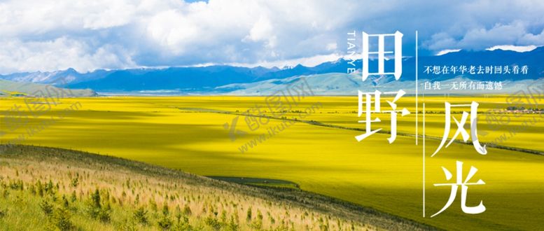 编号：83347107030605198739【酷图网】源文件下载-油菜花