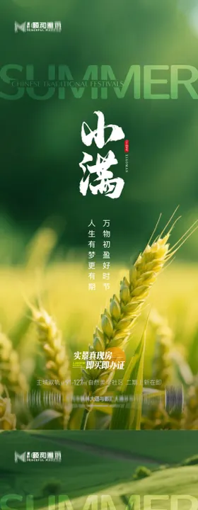小满麦田二十四节气节日海报2026