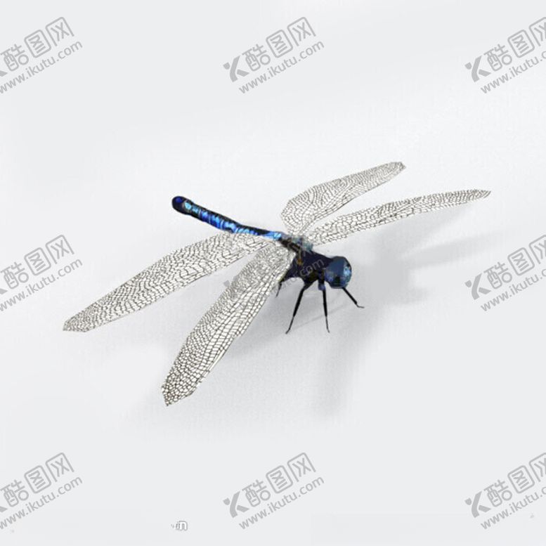 编号：73225902190224529003【酷图网】源文件下载-C4D模型蜻蜓