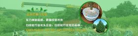陕西白皮松网站banner