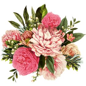 国画鲜花