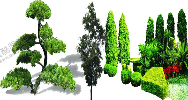 编号：94065410300752247739【酷图网】源文件下载-绿化苗木